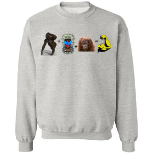 ATS Equation - Pullover Hoodies & Sweatshirts
